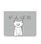 しろねこ 【日常会話】（個別スタンプ：15）