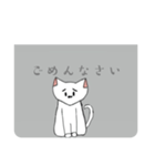 しろねこ 【日常会話】（個別スタンプ：16）