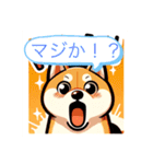 柴犬のほっこり日記（個別スタンプ：22）