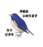 日本の野鳥敬語スタンプ 修正版（個別スタンプ：19）