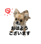 毎日ポテチに癒される（個別スタンプ：1）