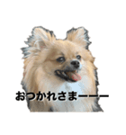 毎日ポテチに癒される（個別スタンプ：4）