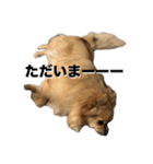毎日ポテチに癒される（個別スタンプ：5）