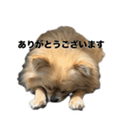 毎日ポテチに癒される（個別スタンプ：9）