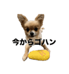 毎日ポテチに癒される（個別スタンプ：15）