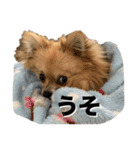 毎日ポテチに癒される（個別スタンプ：18）