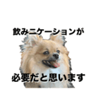 毎日ポテチに癒される（個別スタンプ：22）