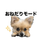 毎日ポテチに癒される（個別スタンプ：28）