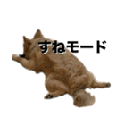 毎日ポテチに癒される（個別スタンプ：29）