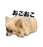 毎日ポテチに癒される（個別スタンプ：32）