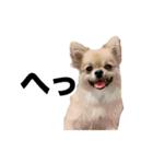 毎日ポテチに癒される（個別スタンプ：33）