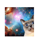 宇宙猫：表情の宇宙（個別スタンプ：24）