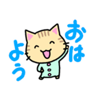 シマねこトラジ（個別スタンプ：1）