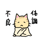 シマねこトラジ（個別スタンプ：9）