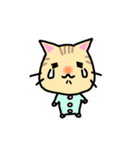 シマねこトラジ（個別スタンプ：13）