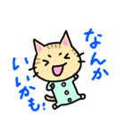 シマねこトラジ（個別スタンプ：16）