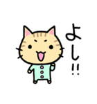 シマねこトラジ（個別スタンプ：33）