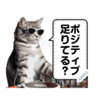 リアル猫ミームであそぼ【面白い可愛い】（個別スタンプ：3）