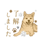 色鉛筆デッサン作品。～スピッツ犬(1)〜（個別スタンプ：5）