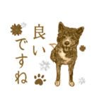 色鉛筆デッサン作品。～スピッツ犬(1)〜（個別スタンプ：10）