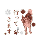 色鉛筆デッサン作品。～スピッツ犬(1)〜（個別スタンプ：29）