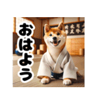 柔道大好き柴犬（個別スタンプ：1）