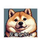 【ドット絵】ご意見番柴犬（個別スタンプ：1）