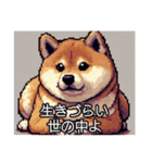 【ドット絵】ご意見番柴犬（個別スタンプ：4）