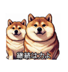 【ドット絵】ご意見番柴犬（個別スタンプ：5）