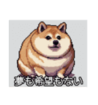 【ドット絵】ご意見番柴犬（個別スタンプ：6）