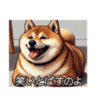 【ドット絵】ご意見番柴犬（個別スタンプ：7）