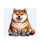 【ドット絵】ご意見番柴犬（個別スタンプ：9）