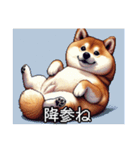 【ドット絵】ご意見番柴犬（個別スタンプ：10）