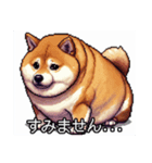 【ドット絵】ご意見番柴犬（個別スタンプ：12）