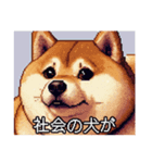 【ドット絵】ご意見番柴犬（個別スタンプ：13）