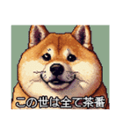 【ドット絵】ご意見番柴犬（個別スタンプ：14）