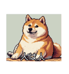 【ドット絵】ご意見番柴犬（個別スタンプ：15）