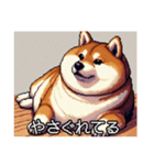 【ドット絵】ご意見番柴犬（個別スタンプ：16）