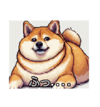 【ドット絵】ご意見番柴犬（個別スタンプ：18）