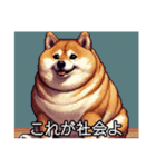 【ドット絵】ご意見番柴犬（個別スタンプ：20）