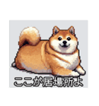 【ドット絵】ご意見番柴犬（個別スタンプ：21）