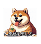 【ドット絵】ご意見番柴犬（個別スタンプ：22）