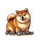 【ドット絵】ご意見番柴犬（個別スタンプ：25）