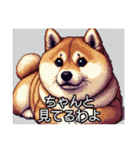 【ドット絵】ご意見番柴犬（個別スタンプ：26）