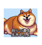 【ドット絵】ご意見番柴犬（個別スタンプ：27）