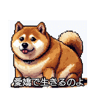 【ドット絵】ご意見番柴犬（個別スタンプ：28）