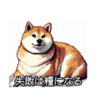 【ドット絵】ご意見番柴犬（個別スタンプ：29）