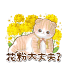 毎日使える♡春の花と猫スタンプ（個別スタンプ：24）