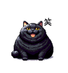 太っちょ黒猫 ドット絵 日常会話 40種（個別スタンプ：8）