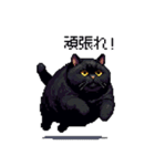 太っちょ黒猫 ドット絵 日常会話 40種（個別スタンプ：17）